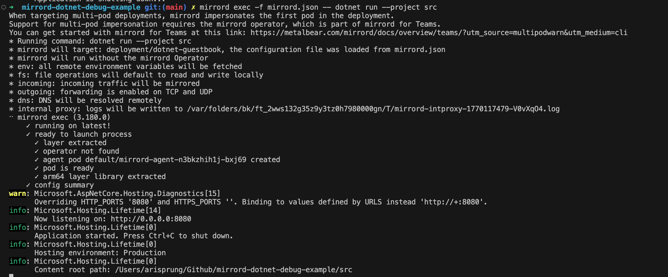 mirrord exec success